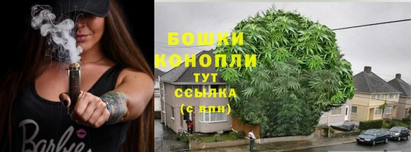 PSILOCYBIN Алексин